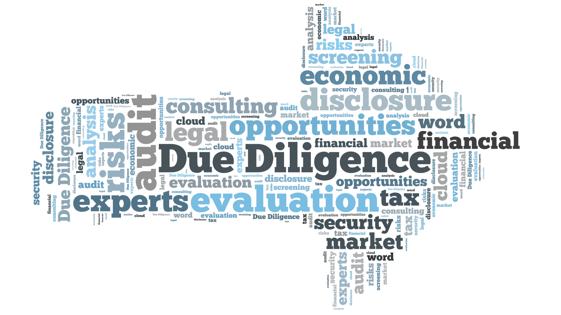 Due Diligence